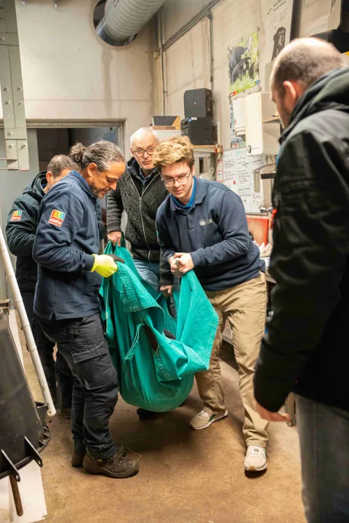 dierenarts en dierverzorgers dragen de beer naar de transportkist