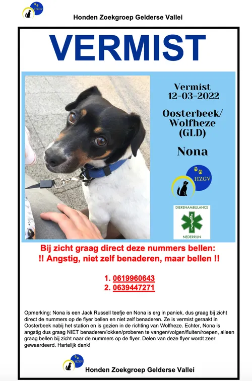 flyer nona jpg
