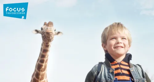 focus thuisbezorgd dikkertje dap website