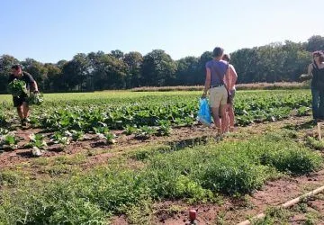 herenboerderijarnhemnoord ophalen 2 1024x576 360x250