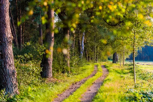 hp 20170828 natuurbegraafplaatsheidepol arnhem 0025 2845