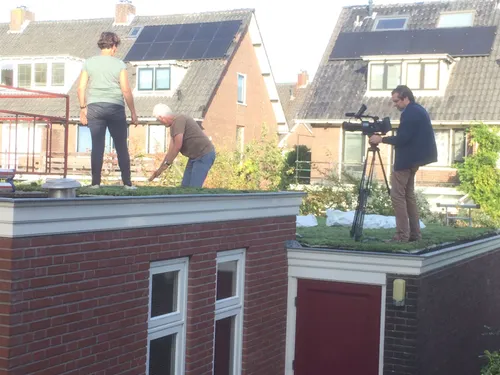 img 1993 foto 17 maart aanleg van een groen dak