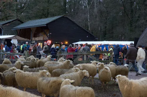 kerstwandeling 2018 014