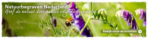 marienveldeimage004 1