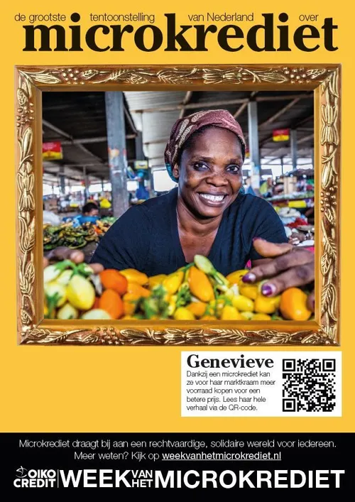 microkredietposter a2