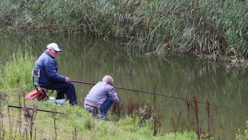 sportvissen cc0 pxhere 915x518