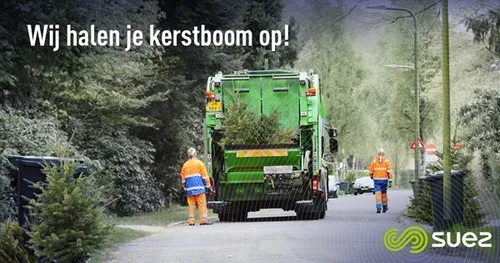 suez kerstbomen