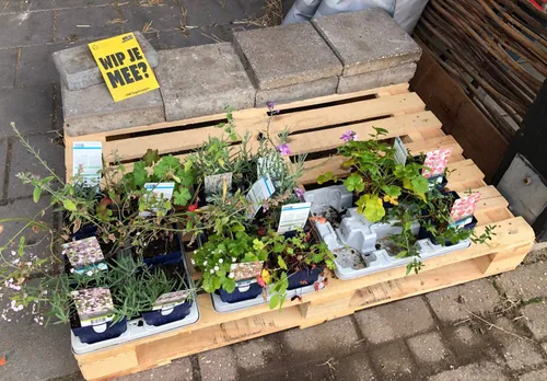 tegelinleverpunt natuurcentrum 1 1600x1115 1