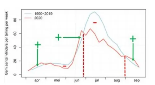 vlinderjaar 2020 geen goed jaar maar wel met lichtpuntjes