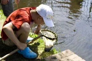 watermonsters rmp 019 300x200