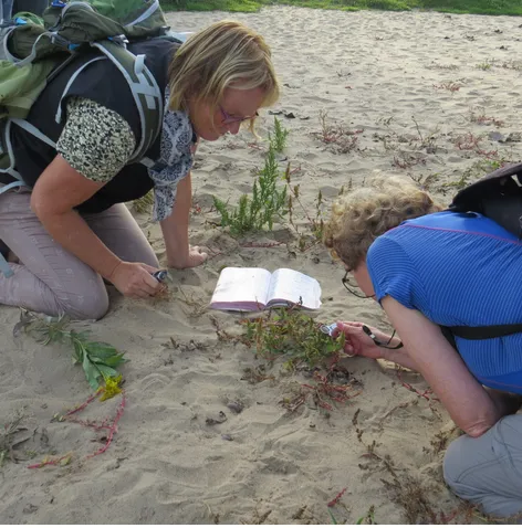 Wilde Planten Cursus in het voorjaar