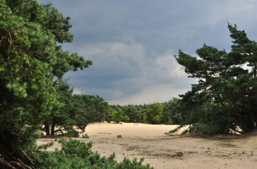 arnhem maakt afspraken met defensie over veiligheid en natuur gemeente arnhem