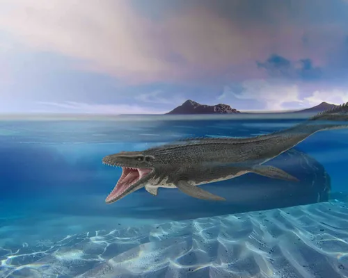 dinos in de zoo.Mosasaurus(1)