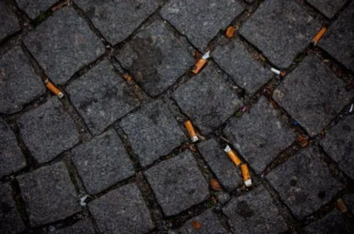 peukenafval tegen te gaan - Gemeente Arnhem