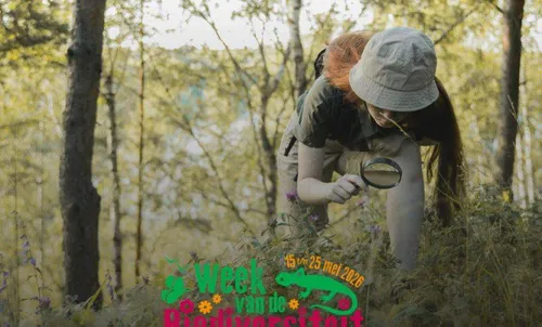 Stadsflora-wandeling in Arnhem - Activiteiten - KNNV Afdeling Arnhem e.o
