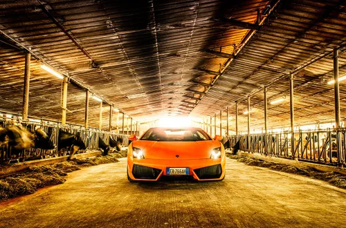 50Lamborghini-gallardo-010