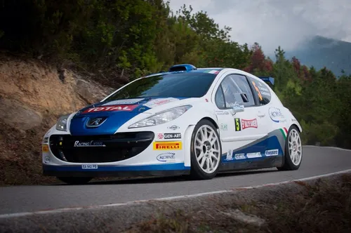 Rally peugeot andreucci campione