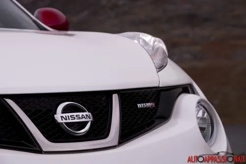 Nissan Juke Nismo 14
