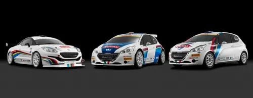 GRUPPO MOTORSPORT
