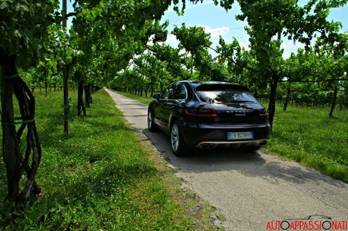 Macan 06