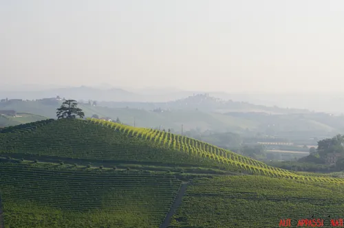 Langhe Piemonte