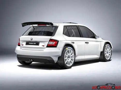 Skoda Fabia R5 003