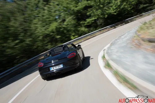 Porsche Boxster GTS in action