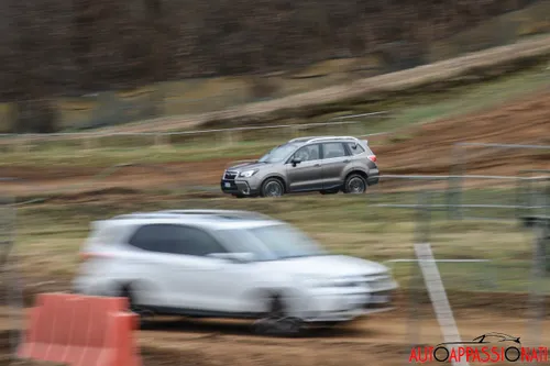 Subaru Forester MY 2016