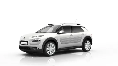 C4 CACTUS W