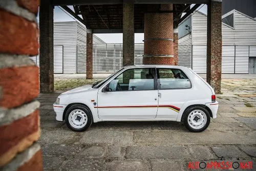 INT1 peugeot106rallye 001