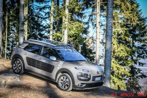 Citroen C4 Cactus Rip Curl