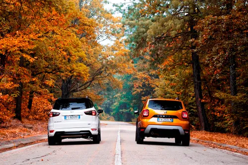 DACIA Duster e FORD Ecosport