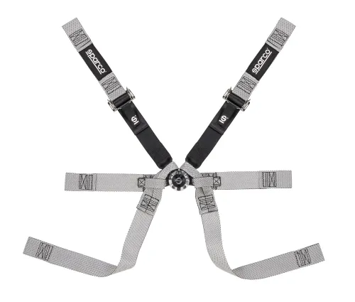 autosport international