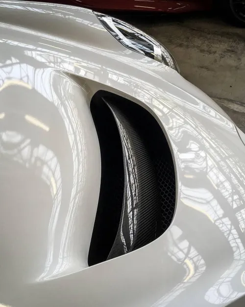 55942606 829708517380063 5462161067125768192 o