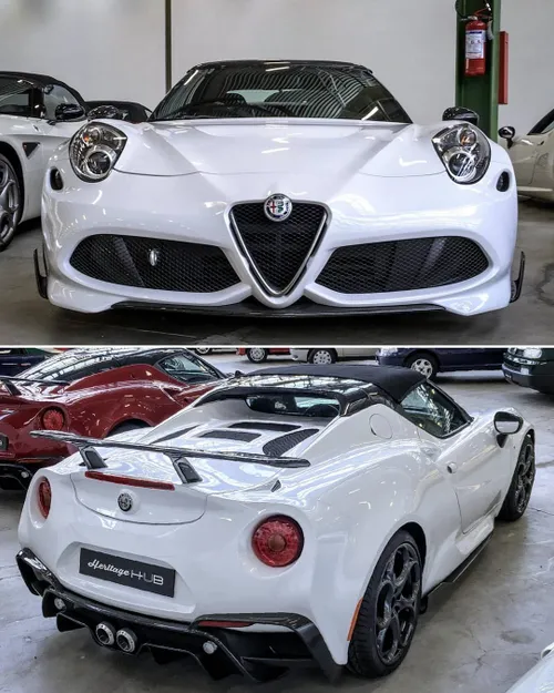 56119960 829708454046736 2948248513286242304 o