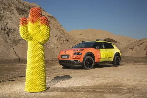C4 Cactus