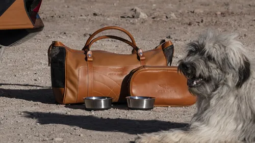 Aston Martin DBX 2020