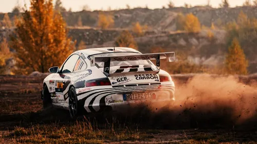 porsche rally