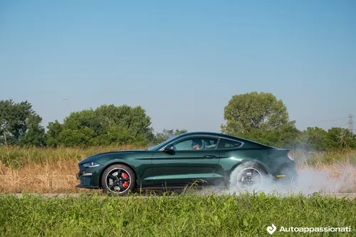 ford mustang bullitt burnout