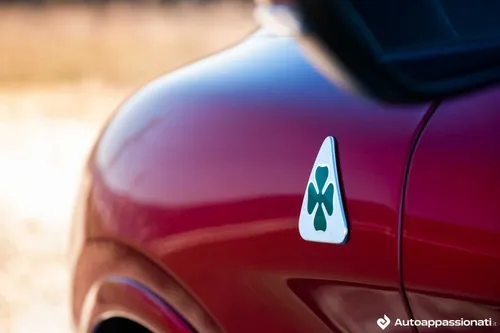 stelvio quadrifoglio 2021 10