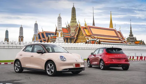 ora good cat frontale e posteriore