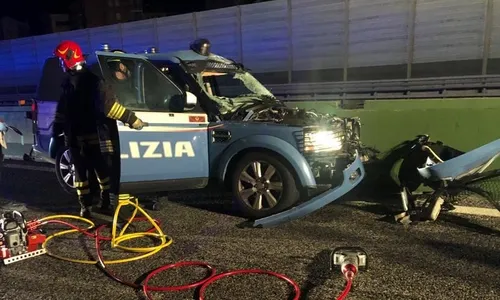 polizia impatto mucca