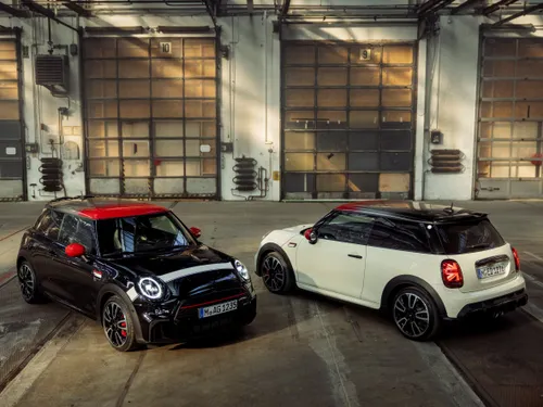 mini pat moss edition