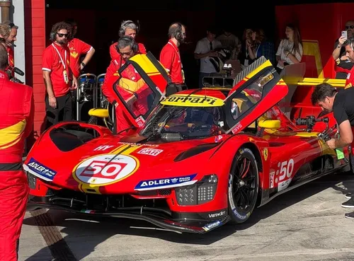 photo 5989962499006511830 y