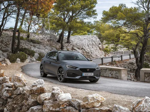 cupra leon grigia opaca