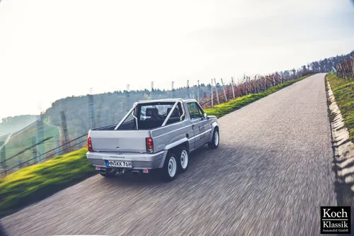 Panda pick-up vigneto