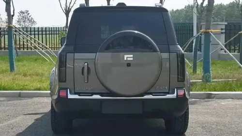 baic stone 01 la vista posteriore