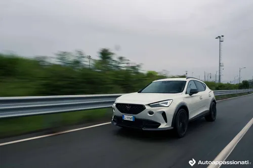 formentor vz5 taiga grey 24