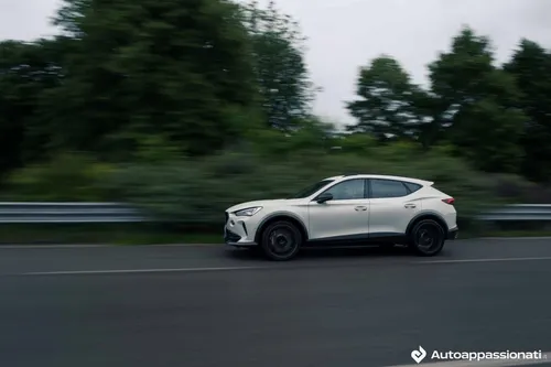 formentor vz5 taiga grey 26