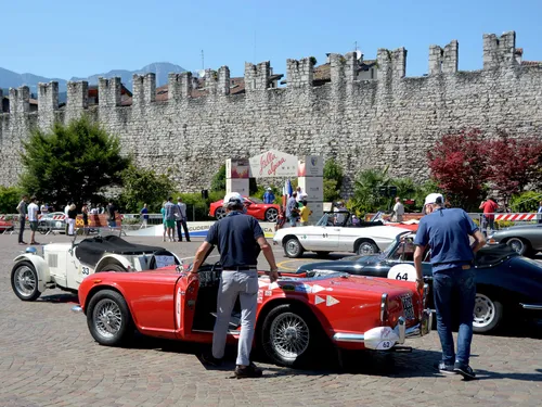 ASI Stella Alpina 2023_2